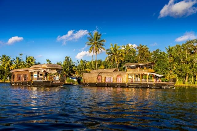 Exploring the Backwaters of Kochi: A Unique Kerala Experience